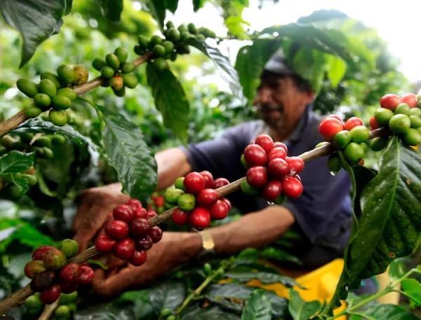 Ecuador áp thuế 30% với Colombia vì không ngăn chặn buôn bán ma túy