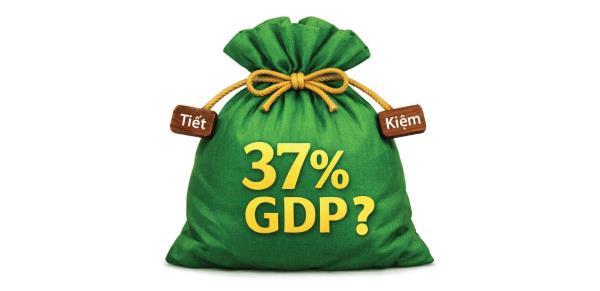 Gia tăng tiết kiệm cho tăng trưởng bền vững ở Việt Nam