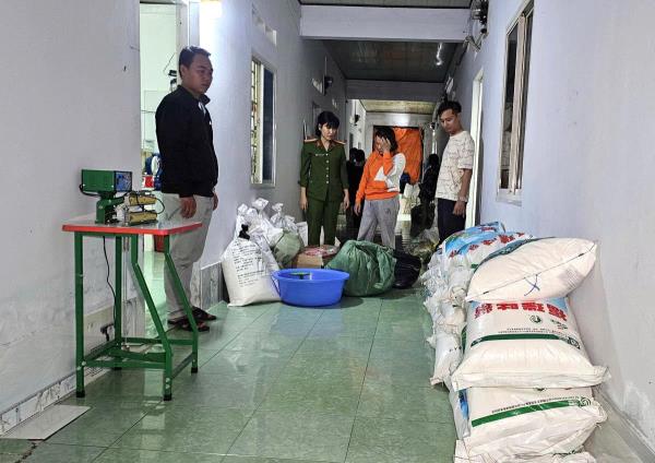 Triệt phá địa điểm sản xuất, tiêu thụ bột ngọt, hạt nêm giả quy mô lớn tại Gia Lai