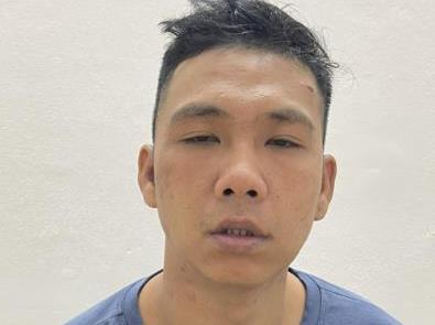 Tùng điên sa lưới