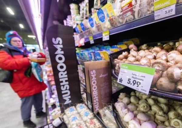 Mỹ để ngỏ khả năng giảm thuế, đối với Canada và Mexico