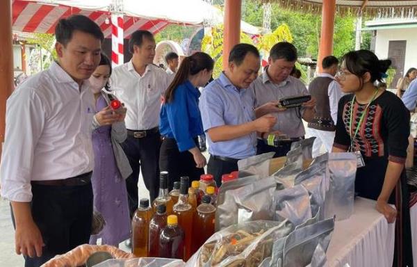 Thúc đẩy khởi sự kinh doanh và khởi nghiệp đổi mới sáng tạo ở A Lưới