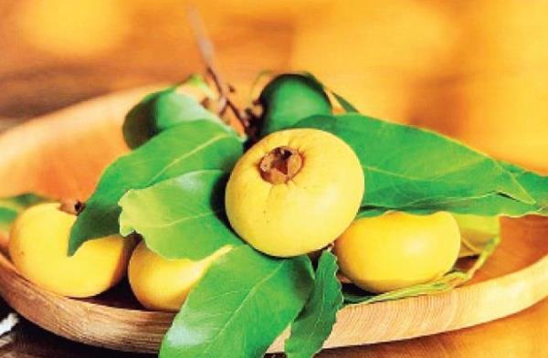 Mùa thị về trong ký ức