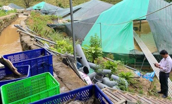 Thiệt hại 70 tấn cá tầm, trị giá 8 tỷ đồng do sạt lở đất