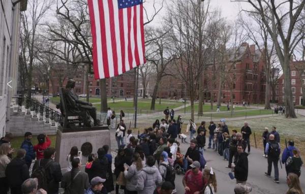 Du học sinh Mỹ trước làn sóng bị tước thị thực