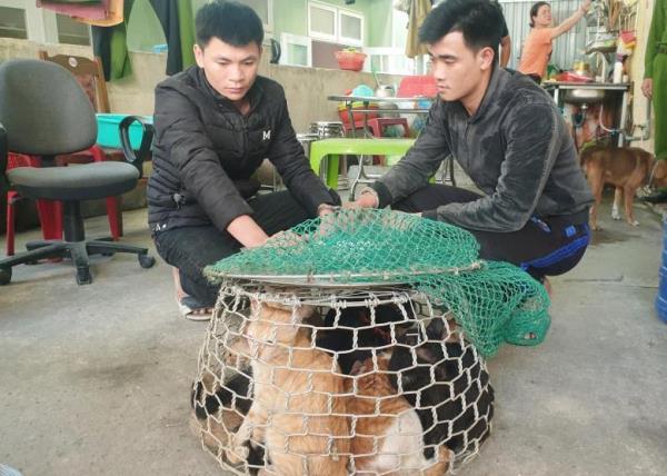 Miêu tặc sa lưới