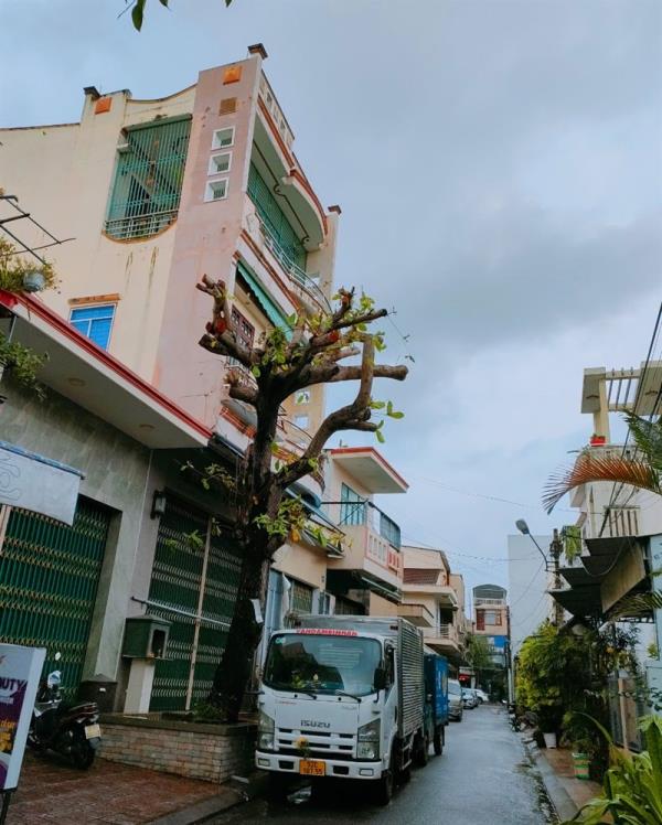 Vỡ nợ theo kiểu domino, hàng loạt đại gia Tam Kỳ méo mặt