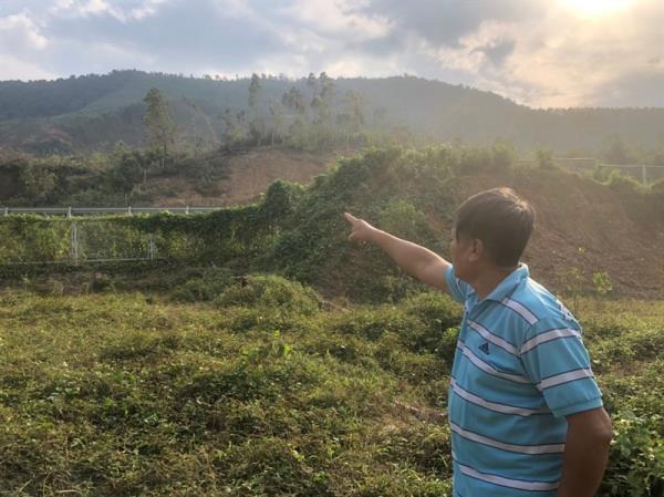 Người trồng rừng Hòa Vang bí đường ra