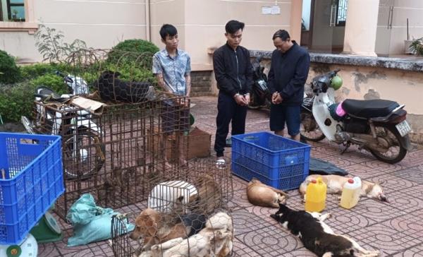 Bắt nhóm cẩu tặc liên tỉnh