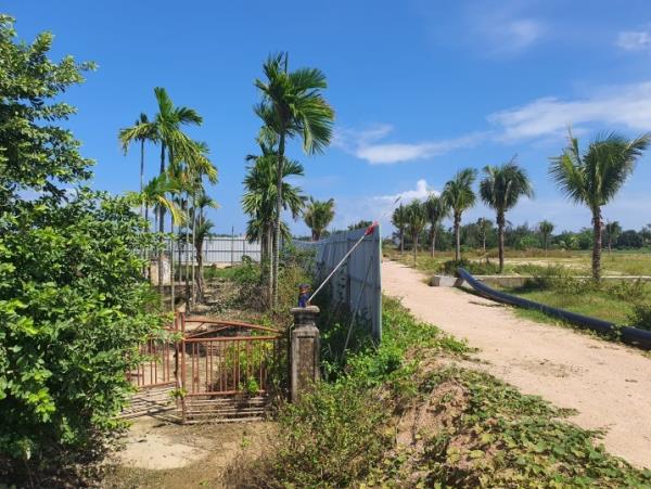 Những cơn sốt đất đi qua (Bài cuối: Cuộc đại phẫu muộn màng?)