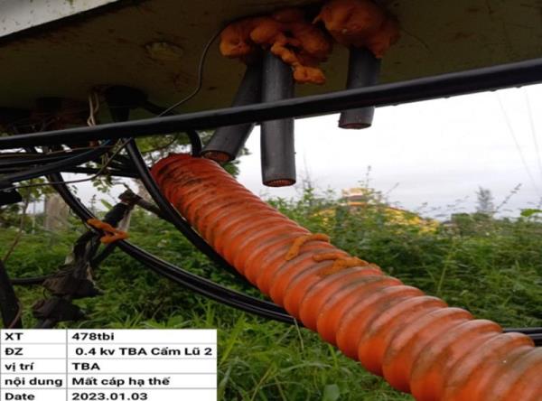 Bắt đối tượng gây ra hàng loạt vụ trộm dây cáp điện tại các trạm biến áp