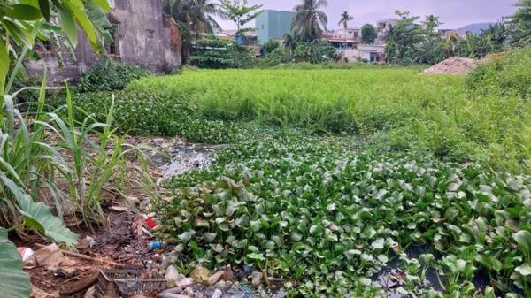 Sống chung với ô nhiễm