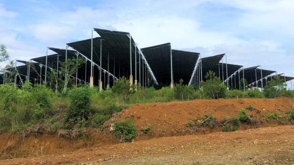 Chuyển hồ sơ vụ làm điện mặt trời trái phép đến cơ quan điều tra