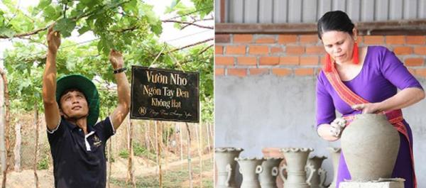 Ninh Thuận sẵn sàng cho lễ hội Nho – Vang