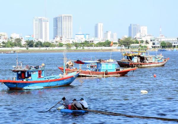 Neo đậu không đúng chỗ