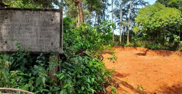 Làm lén nhưng không thể… rón rén ()