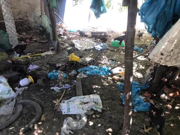 Biến đất trống thành... đất thối