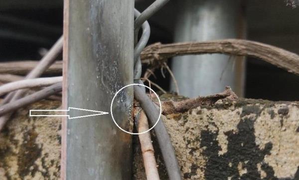 Rợn tóc gáy vì… điện