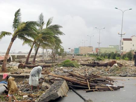 Học ứng xử với biển