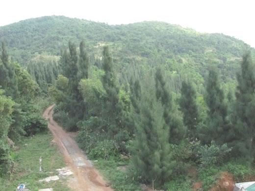 Vì sao Bộ CHQS tỉnh TT-Huế vội vàng đồng ý chủ trương triển khai dự án World Shine?