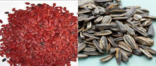 Cảnh giác với tình trạng trẻ hóc dị vật đường thở