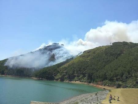 Cháy lớn rừng thông ven hồ