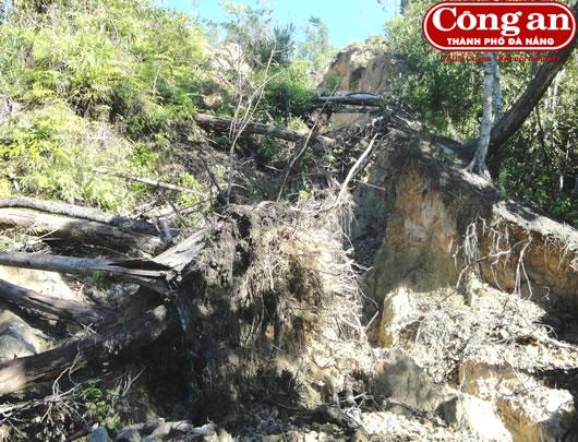 Nóng tình trạng khai thác thiếc trái phép trong rừng phòng hộ Sông Tranh