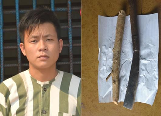 Làm rõ vụ nhân viên bảo vệ rừng bị đánh