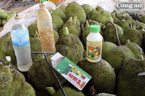 Phát hiện cơ sở sử dụng hóa chất kích thích trái cây