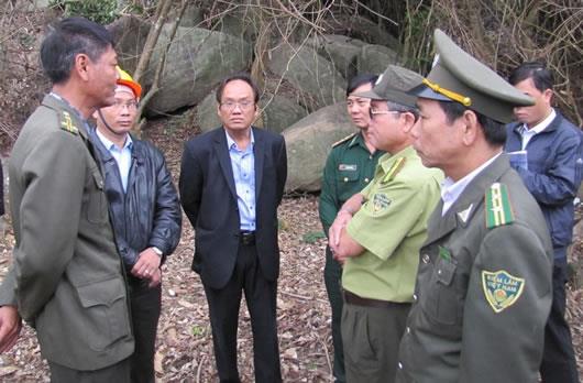 Tạm đình chỉ công tác Hạt trưởng, Hạt phó Hạt Kiểm lâm Sơn Trà - Ngũ Hành Sơn