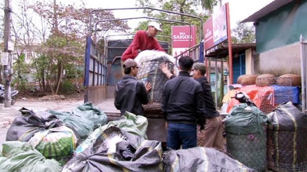 Phát hiện cơ sở sản xuất giá đỗ ngậm hóa chất