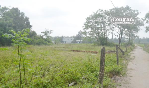 Cò đất lại tung tin sáp nhập một số xã ở Điện Bàn vào Đà Nẵng