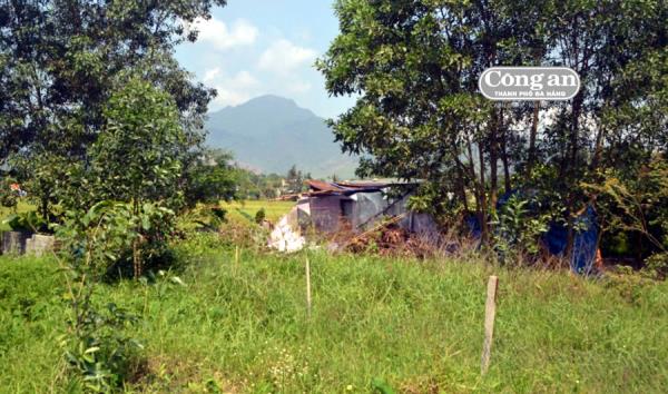 Khiếu nại của bà Võ Thị Tuyết Nhung: Không có cơ sở để xem xét giải quyết