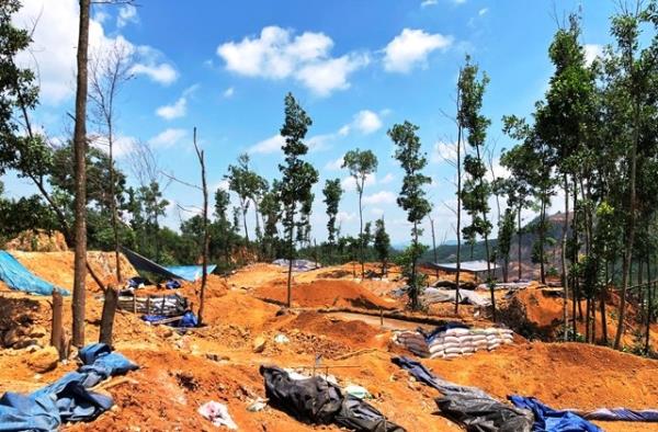 Đề nghị xóa khoản nợ hơn 53 tỷ đồng cho Công ty Vàng Bồng Miêu