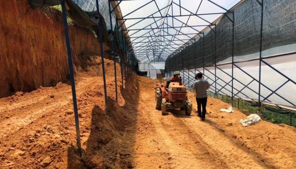 Bắt khẩn cấp đối tượng lấn chiếm đất rừng, hành hung cán bộ phường